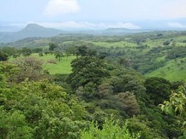 Deforestation in Costa Rica - Wikipedia