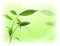Development of environmentally-friendly products - Technology