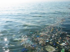 ENDER Blog s: Environmental Problem Issues of garbage in the