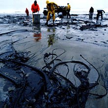 Environmental impact of the petroleum industry - Wikipedia