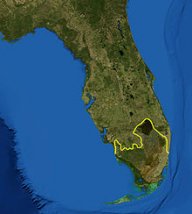 Environmental issues in Florida - Wikipedia