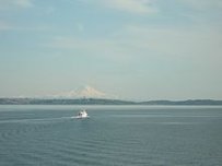 Environmental issues in Puget Sound - Wikipedia