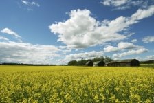 Environmental Planning | University of Northern British Columbia
