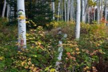 Environmental Topics | New Hampshire Environmental Public Health