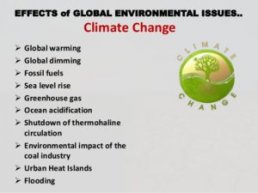 Global-environmental-issues-terraissues - Terra Issues