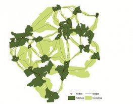 Landscape connectivity: corridors and more, in Issues in Ecology