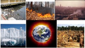 List Of Environmental Problems And Their Solutions- Biology