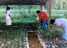 Made in Central America: Environmental Organizations in Panama