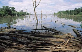 Threats to wetlands | WWF