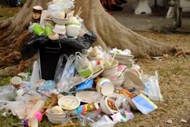 Why the Tourism Industry Is an Environmental Disaster and a