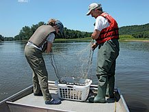 Wisconsin Environmental Policy Act - Wisconsin DNR