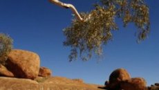 Deserts cover about one-fifth of the planet, and they are growing.