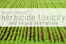 Environmental Health Issues: Dangers of Herbicides