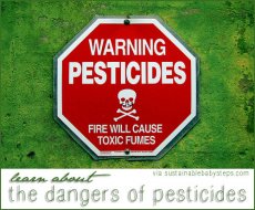 Environmental Health Issues: Dangers of pesticides