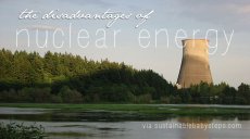 Environmental Health Issues: Disadvantages of Nuclear Energy