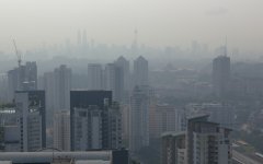 Environmental Problems of Urbanization