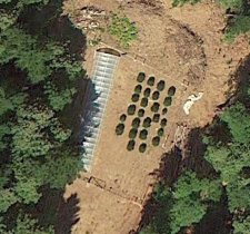 Google Earth Image of a cannabis grow site. The resolution of Google Earth images allowed the researchers to detect marijuana plants that were previously missed with other remote sensing techniques.