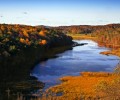 Johnsonburg Swamp Preserve in Frelinghuysen Township.