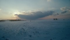 Life in the tundra has adapted to living with the cold.