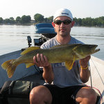 Minnesota walleye