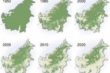 Biggest Ecological Problems