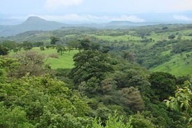 Costa Rica Environmental Issues