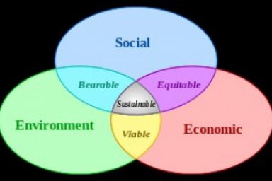 Environmental Economics Issues