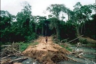 Environmental Issues in Brazil