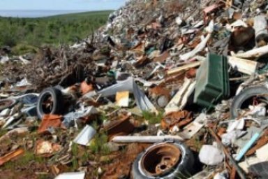 Environmental Issues in Cities