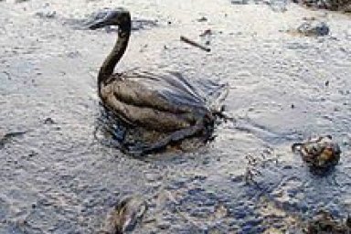 Environmental Issues in oil and gas Industry