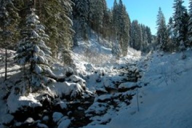 Environmental Issues in product Design