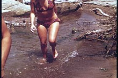 Lake Erie Environmental Issues
