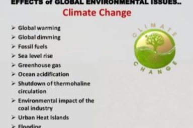 Major environmental Problems in developing countries