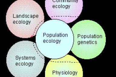 Population Ecology Problems