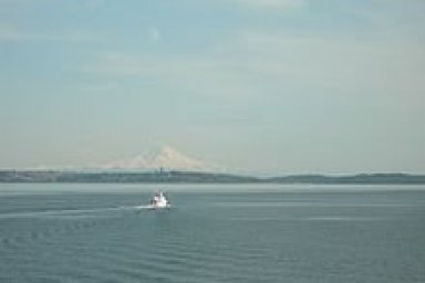 Puget Sound Environmental Issues