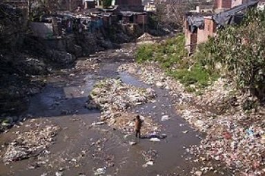 Recent Environmental Issues in India