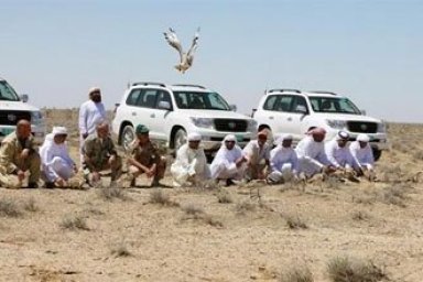 Sahara Desert Environmental Issues