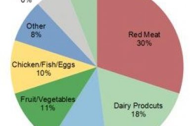 Types of Environmental Resources