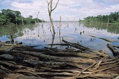 Wetlands Environmental Issues
