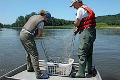 Wisconsin Environmental Issues