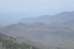 Wooded mountain range on a foggy day