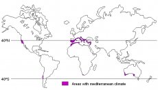 World Map with purple highlighted areas of mediterrean environments. Mediterrean enviornments are found in california, chile, in southern europe, northern africa and southern austrailia